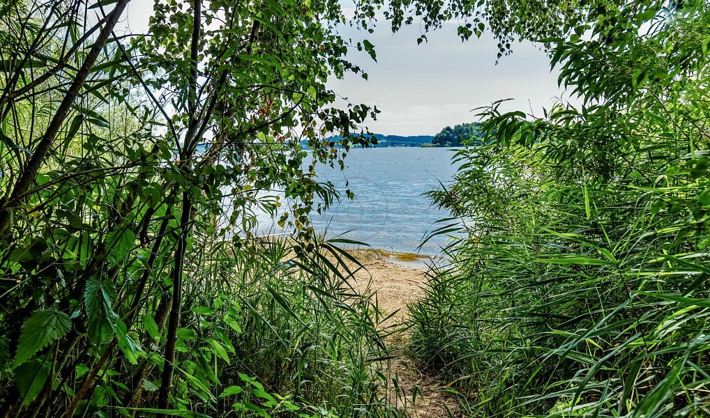 Prodej stavebního pozemku 1 000 m², Horní Planá – náhled fotky 5