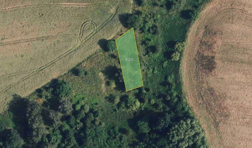 Prodej louky 8 911 m², Prostějovičky – náhled fotky 2