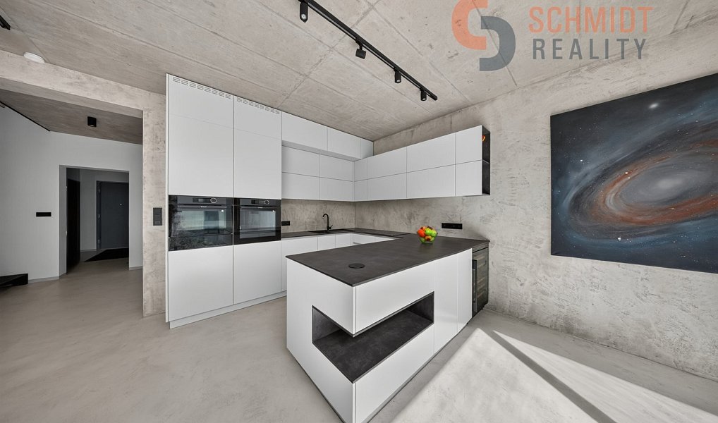 Prodej domu 239 m² s pozemkem 1 000 m², Dolní Věstonice – náhled fotky 3