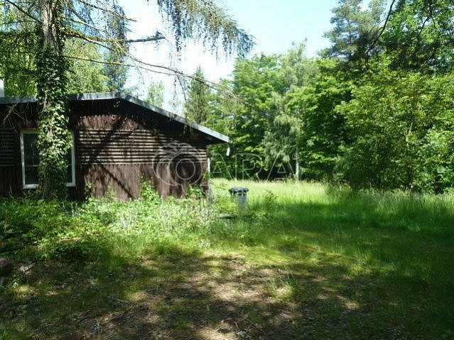 Pronájem zahrady 4 139 m² – fotografie 2