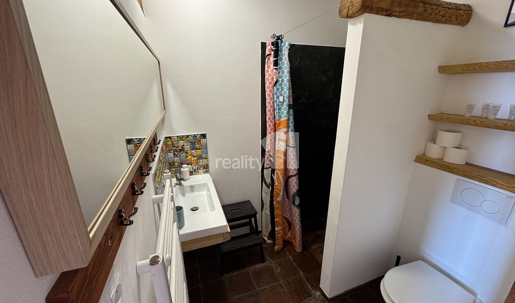 Prodej domu 461 m² s pozemkem 290 m², Malešov – náhled fotky 16