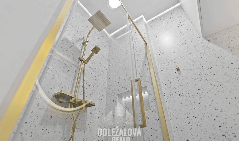 Prodej bytu 1+kk 25 m², Praha – náhled fotky 29
