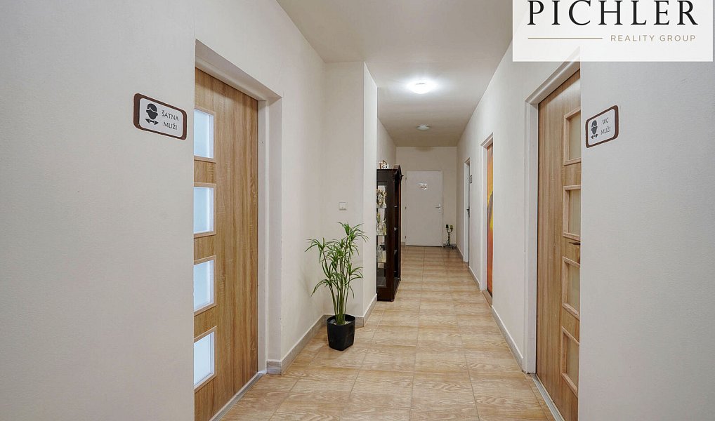 Pronájem výrobních prostor 3 000 m², Horní Bříza – náhled fotky 18