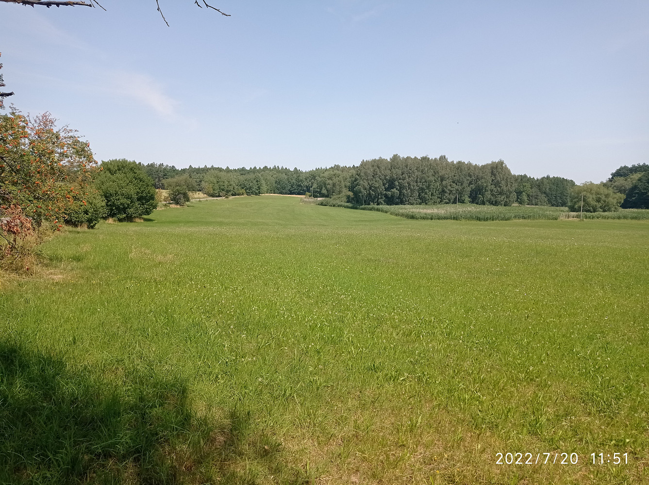 Prodej stavebního pozemku 13 356 m² — photo 4