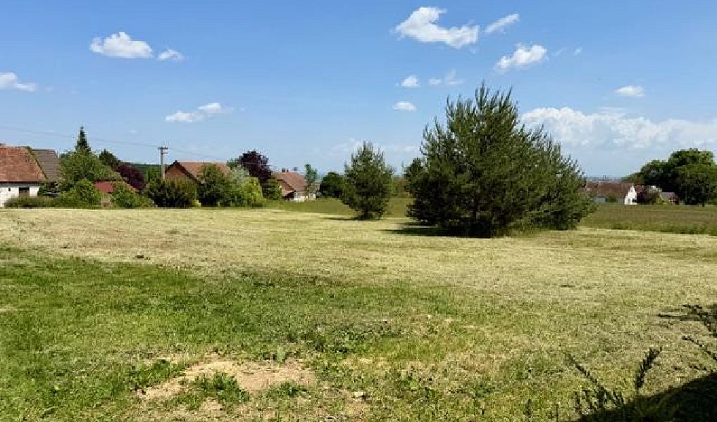 Prodej stavebního pozemku 1 454 m², Morašice – náhled fotky 2