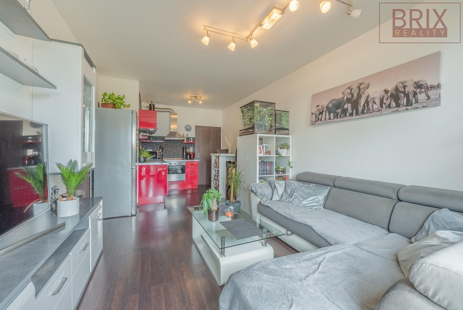 Pronájem bytu 2+kk 54 m² — photo 3