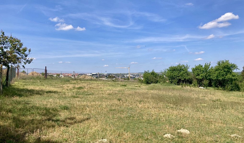 Nový Šaldorf - Sedlešovice, lisovna, 145 m2, pozemek 978 m2 vinný sklep, Nový Šaldorf-Sedlešovice – náhled fotky 3