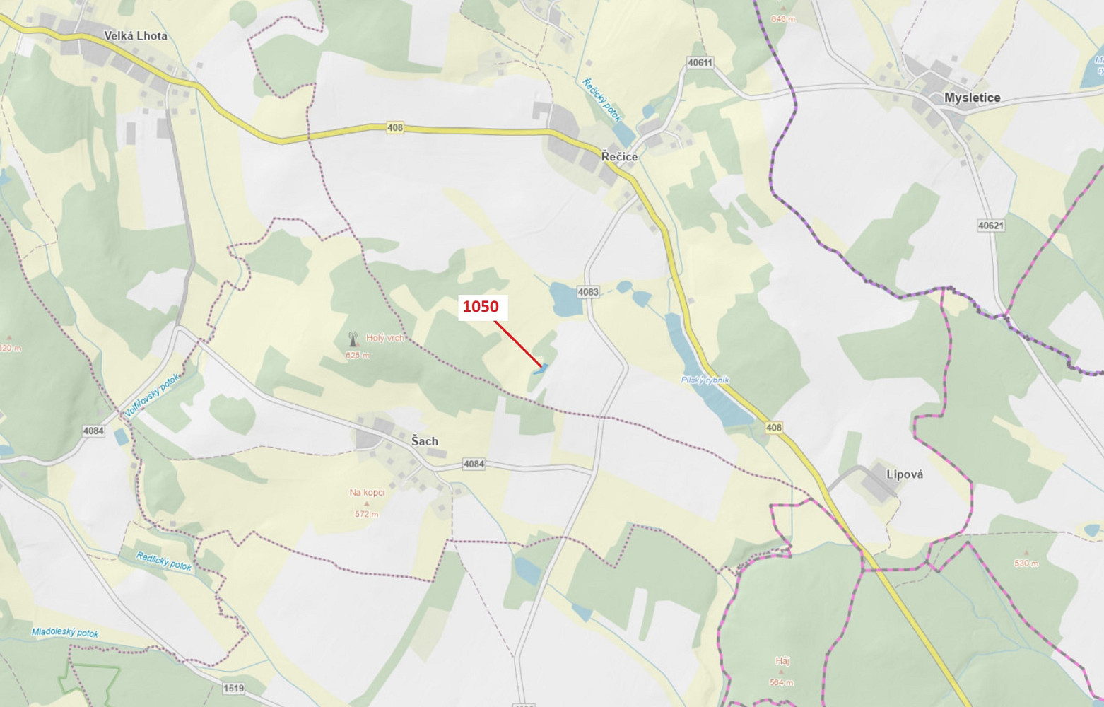 Dražba lesa 1 007 m²