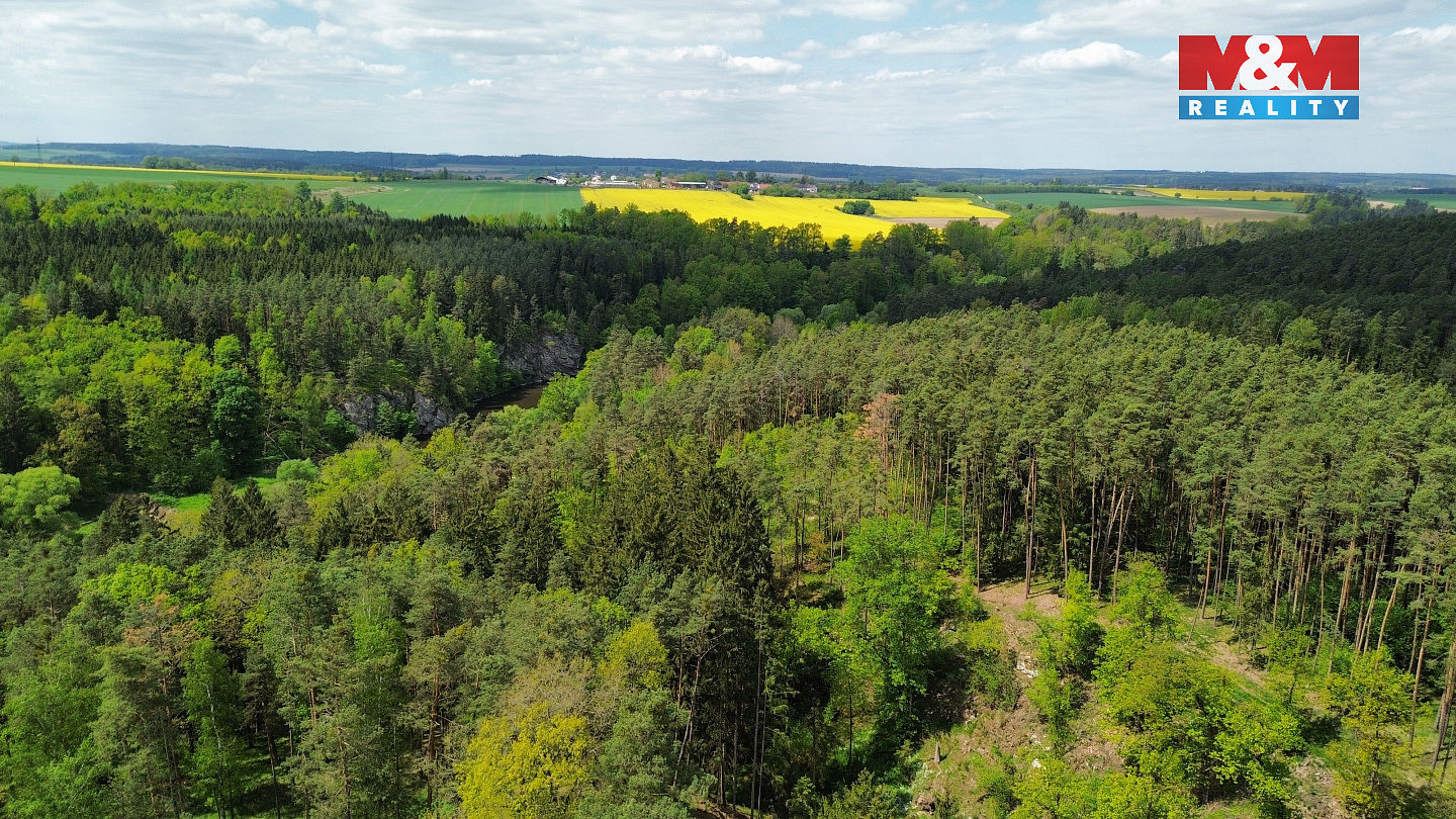 Prodej lesa 79 857 m² — photo 4