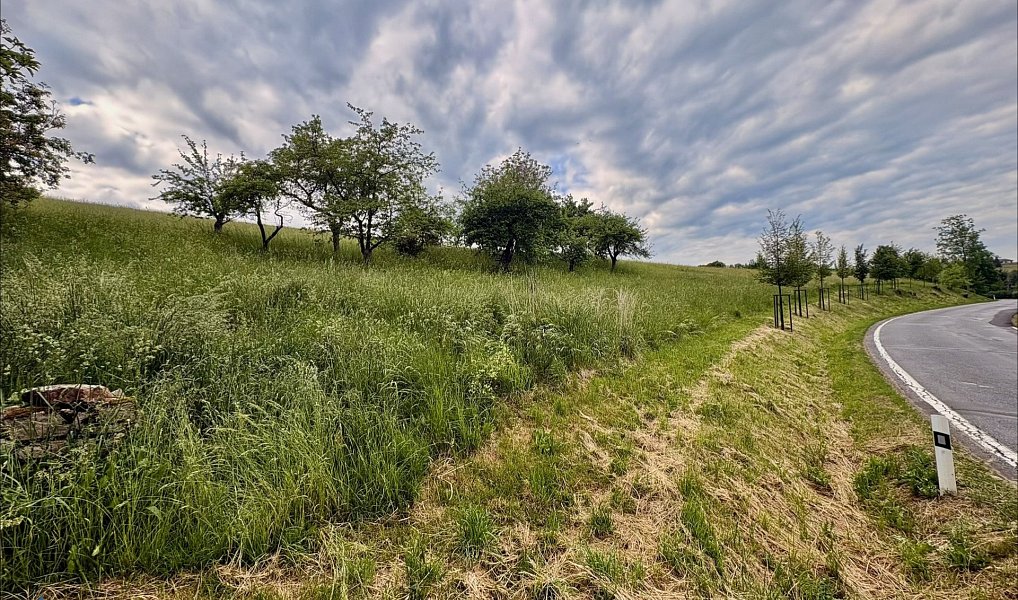 Prodej stavebního pozemku 1 680 m², Libňatov – náhled fotky 2