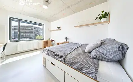 Pronájem bytu 1+kk 24 m², Dornych, Brno - Trnitá
