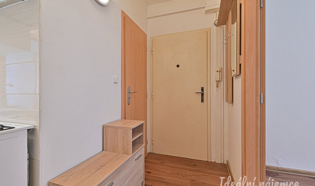 Pronájem bytu 2+1 38 m², Brno – náhled fotky 10