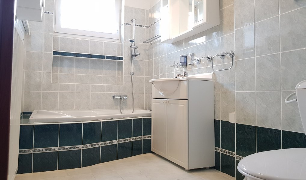 Prodej domu 168 m² s pozemkem 793 m², Opava – náhled fotky 17