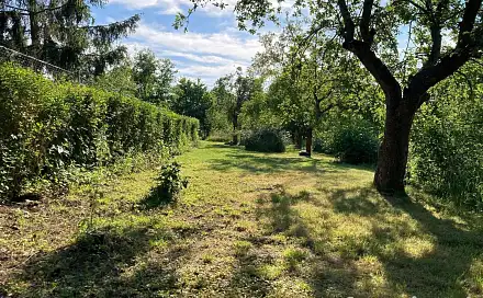 Prodej zahrady 760 m², Praha 6 - Veleslavín