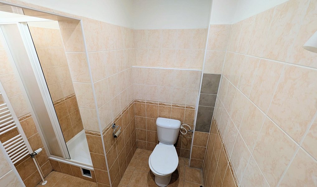 Pronájem bytu 3+kk 68 m², Peruc – náhled fotky 14