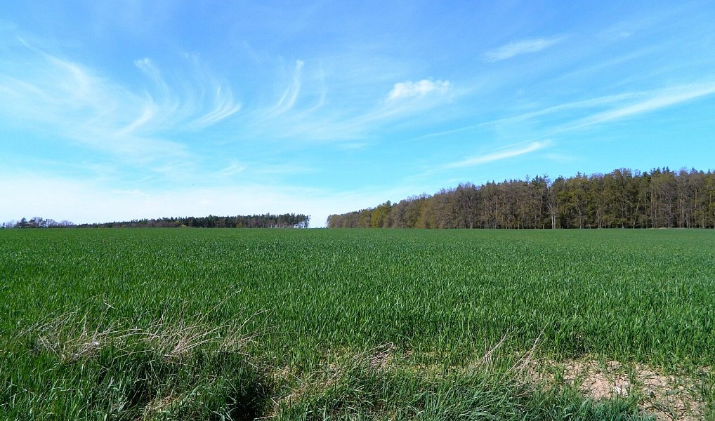 Prodej stavebního pozemku 984 m², Přehořov – náhled fotky 5