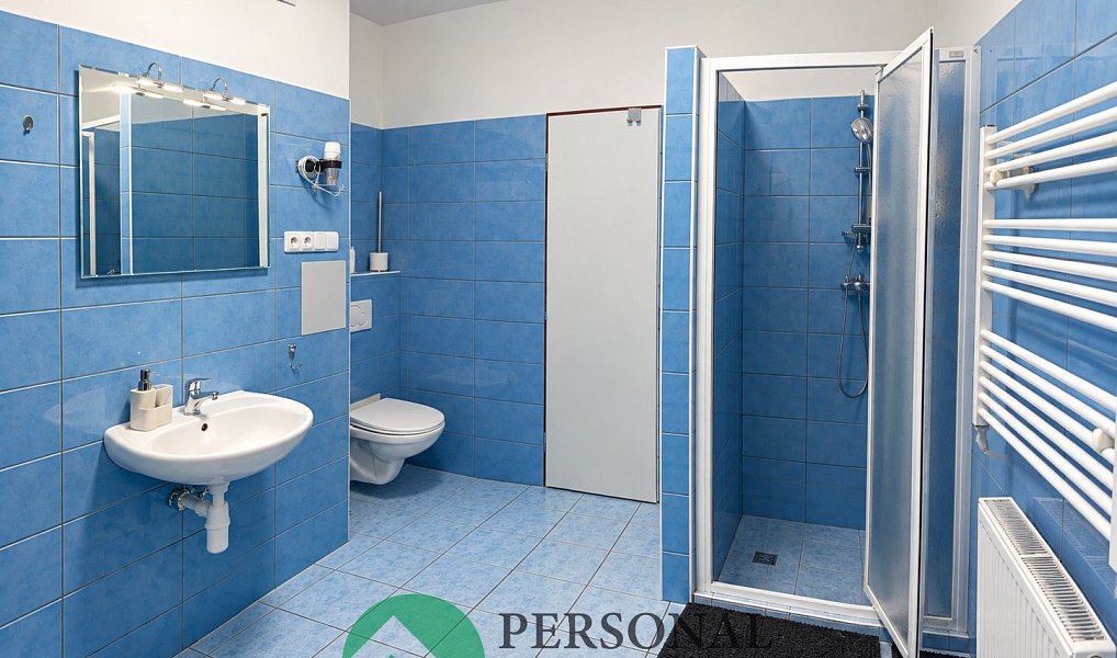 Pronájem bytu 3+1 95 m², Planá – náhled fotky 5