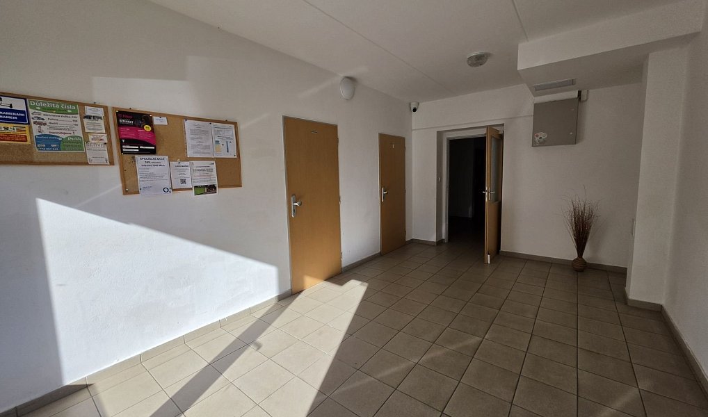 Pronájem bytu 2+kk 42 m², Plzeň – náhled fotky 19