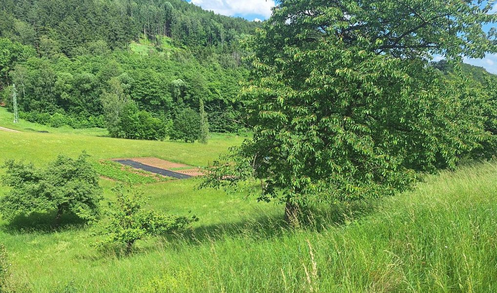 Prodej stavebního pozemku 2 318 m², Malé Svatoňovice – náhled fotky 6