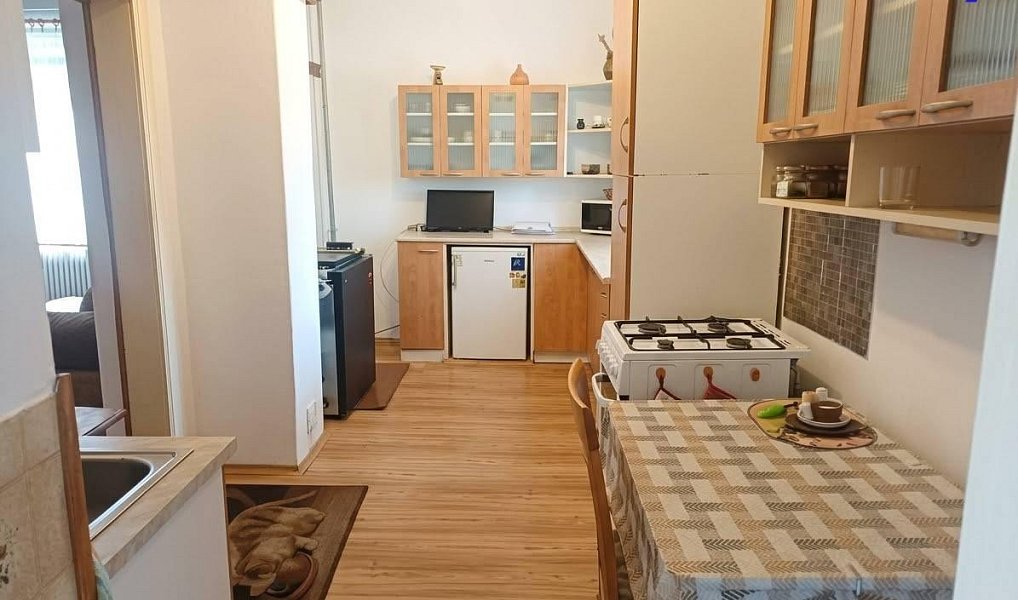 Prodej domu 60 m² s pozemkem 1 201 m², Pracejovice – náhled fotky 3
