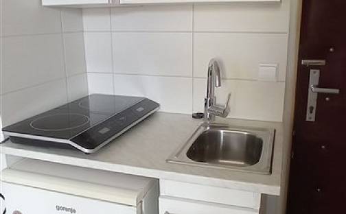 Pronájem bytu 1+kk 20 m², Veletržní, Brno - Staré Brno