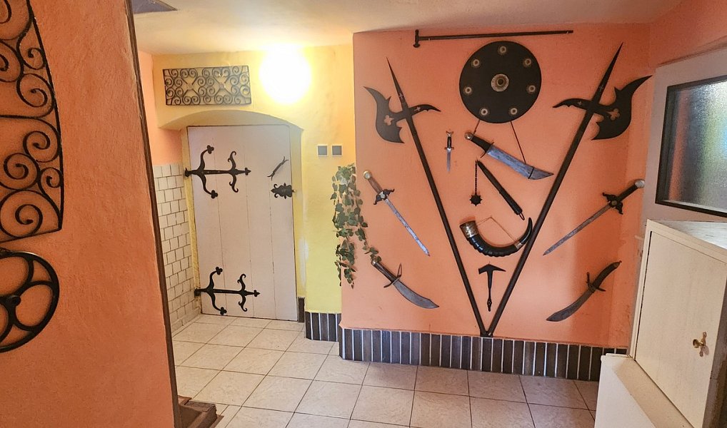 Prodej domu 350 m² s pozemkem 2 735 m², Labská Stráň – náhled fotky 18