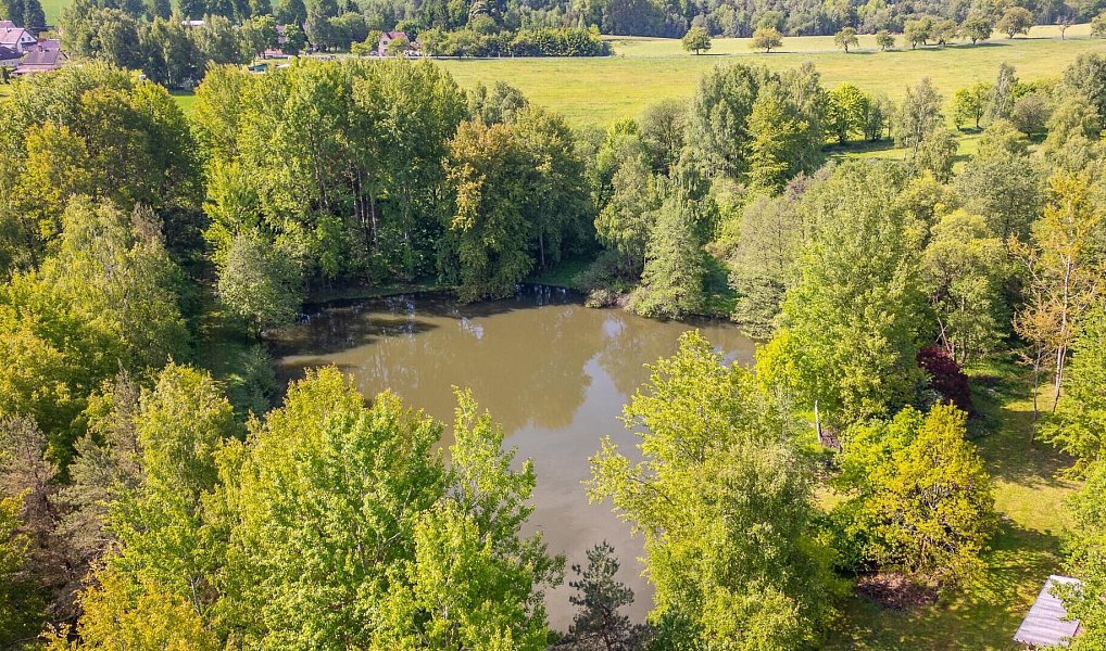 Prodej pole 54 868 m², Krajková – náhled fotky 15