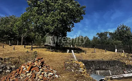 Prodej stavebního pozemku 1 485 m², Krahulov, okres Třebíč