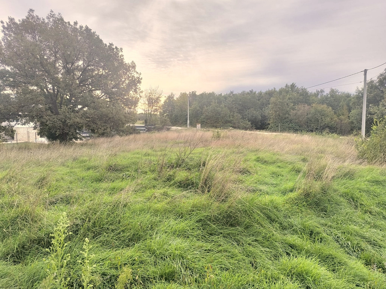 Prodej stavebního pozemku 980 m²