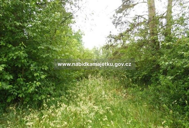 Prodej pozemku 1 974 m²