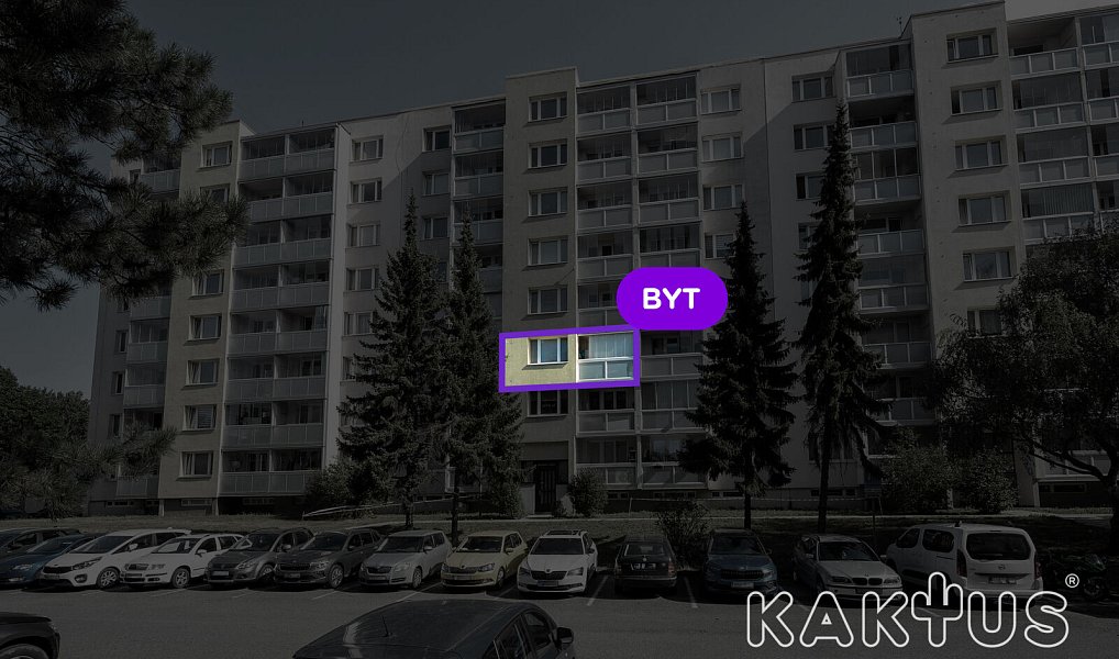 Pronájem bytu 1+1 40 m², Ostrava – náhled fotky 14