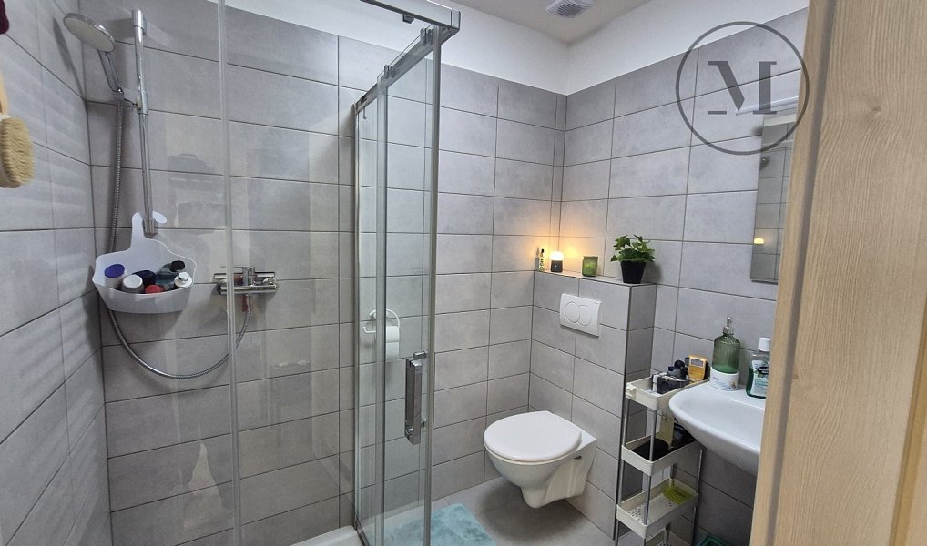 Pronájem bytu 1+kk 22 m², České Budějovice – náhled fotky 3