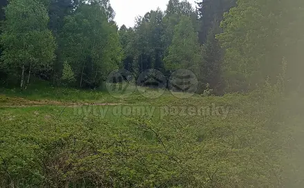 Prodej lesa 4 526 m², Dlouhý Most, okres Liberec