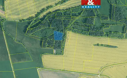 Prodej lesa 4 545 m², Třešovice, okres Strakonice