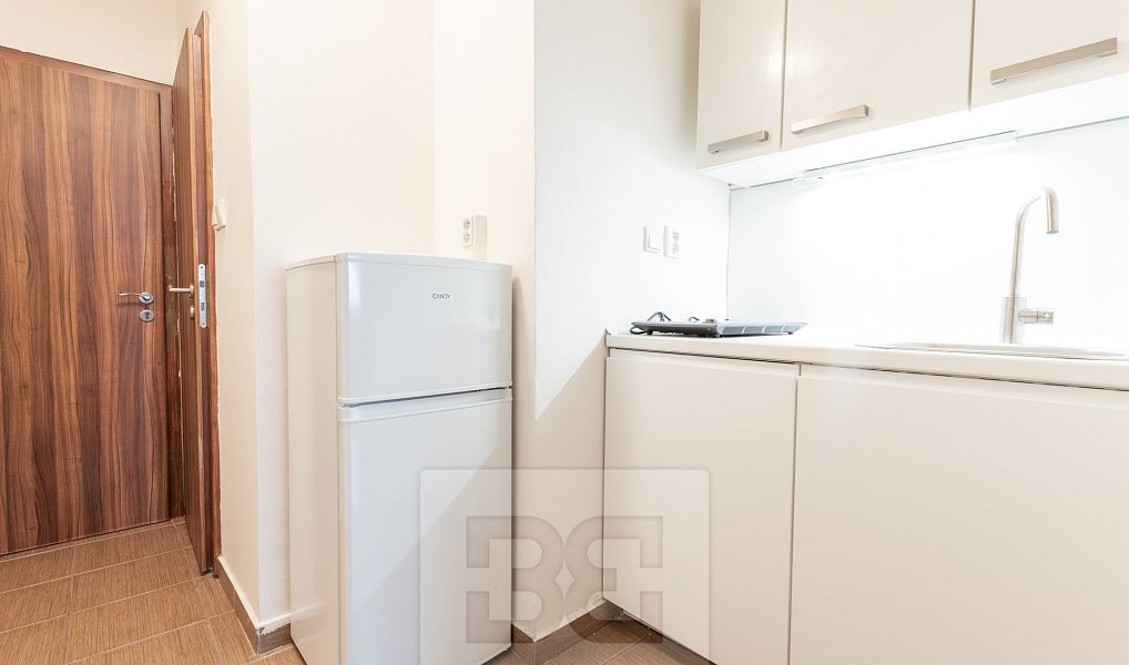 Pronájem bytu 1+1 20 m², Praha – náhled fotky 2
