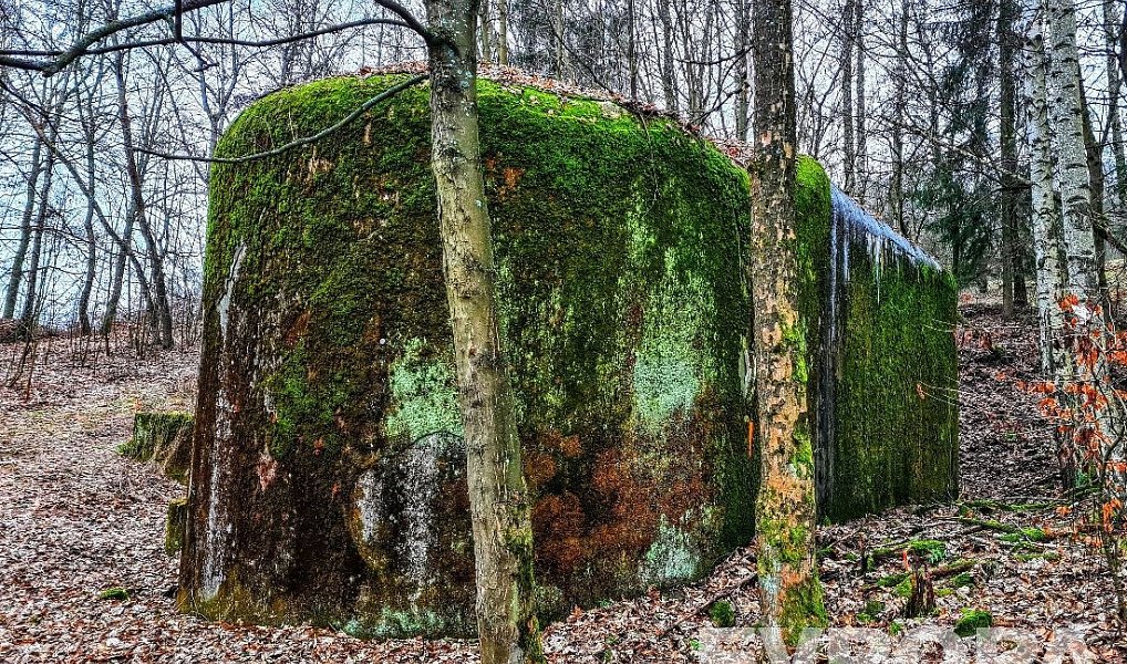 Prodej pozemkové parcely č. 448/10 s možností Nájemní smlouvy na izolovaný pěchotní srub T-S 60 U st, Trutnov – náhled fotky 4
