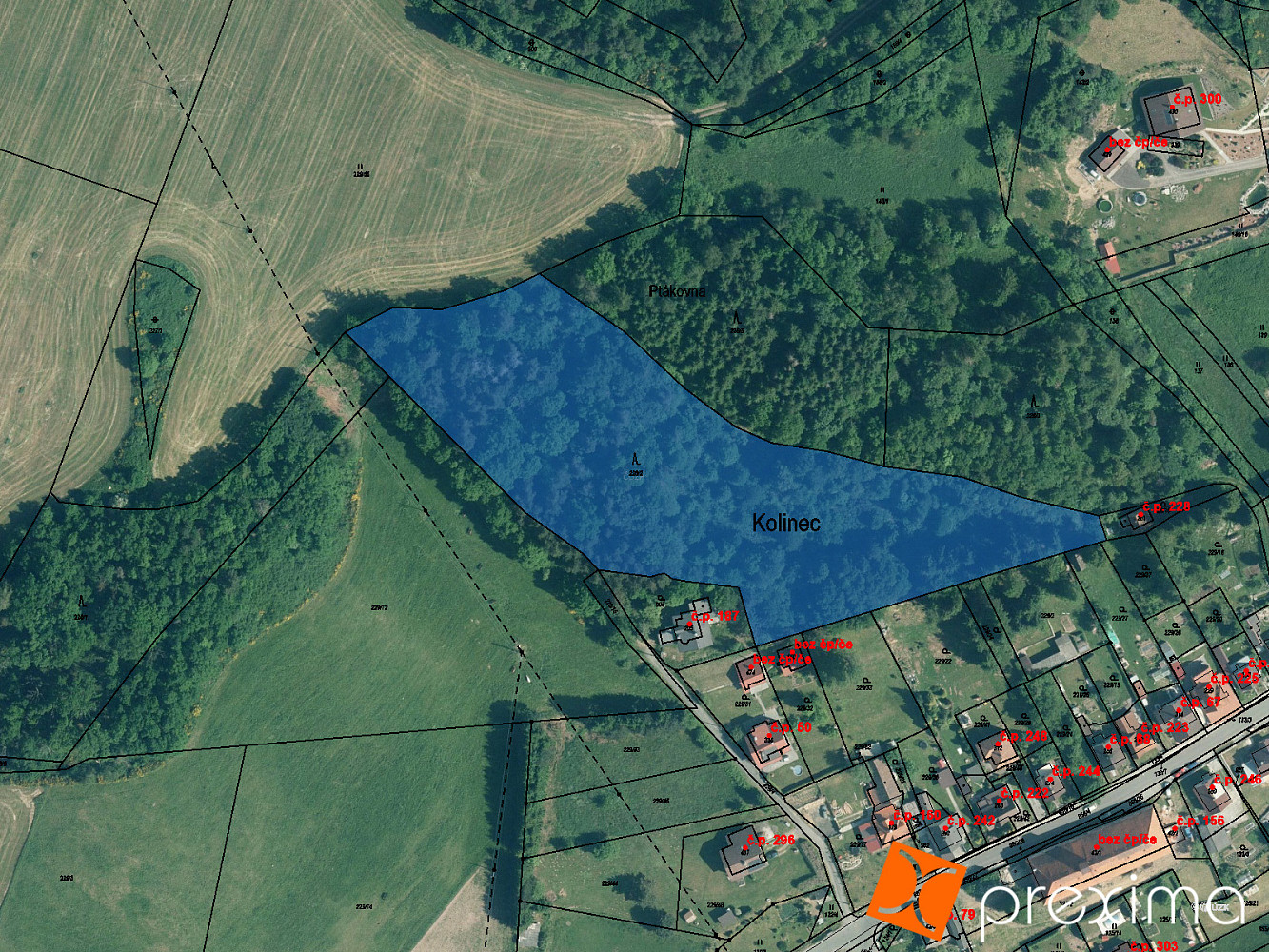 Prodej lesa 1 820 m²