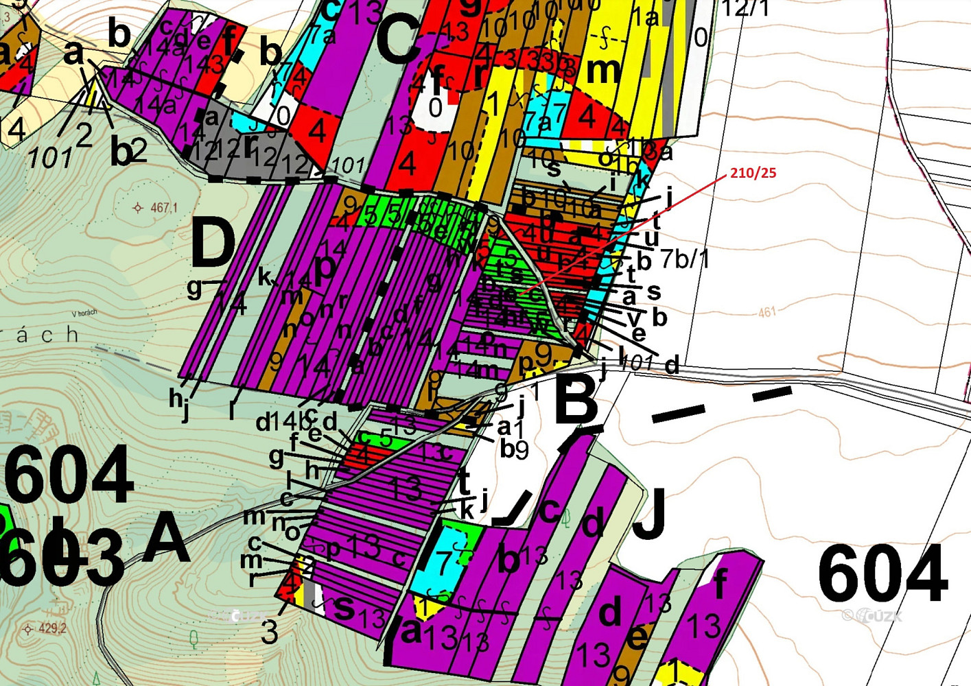 Dražba lesa 198 m² - Widok 3