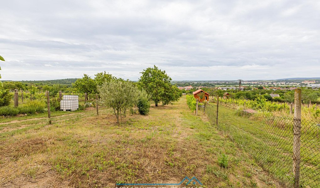 Prodej zahrady 1 078 m², Dobšice – náhled fotky 3
