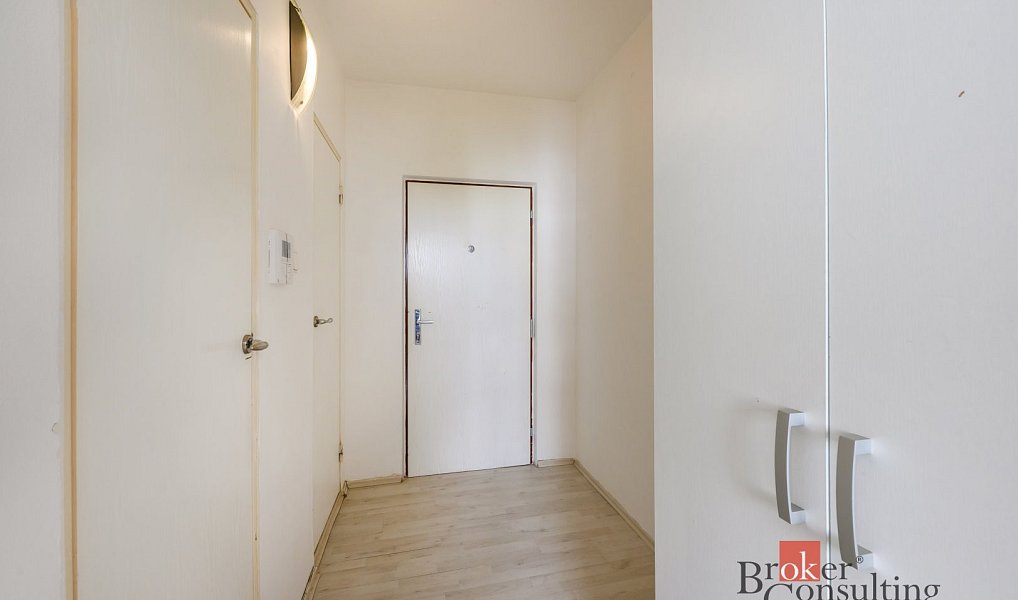 Prodej bytu 1+1 39 m², Plzeň – náhled fotky 8