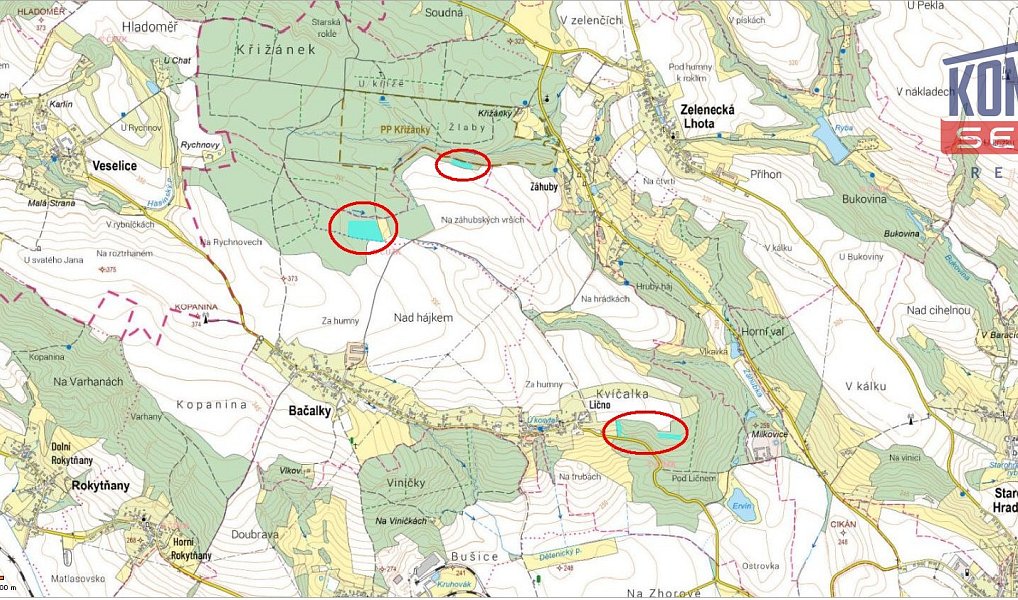 Prodej lesa 32 004 m², Bačalky – náhled fotky 8
