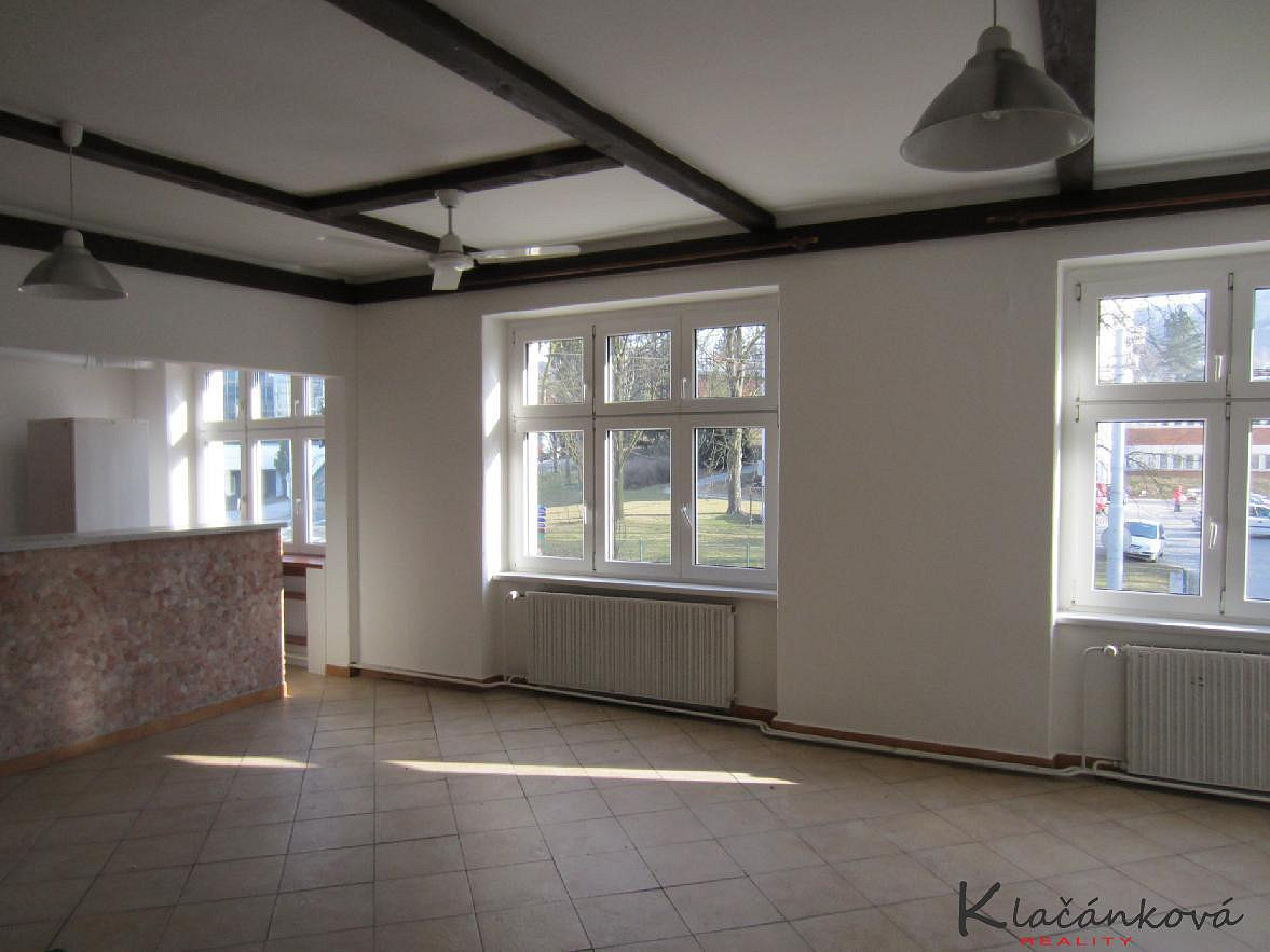 Pronájem bytu 1+kk 45 m² – fotografie 4