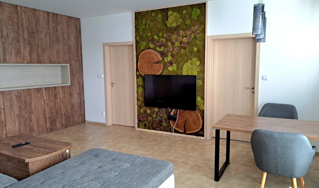 Pronájem bytu 3+kk 66 m², Brno – náhled fotky 2