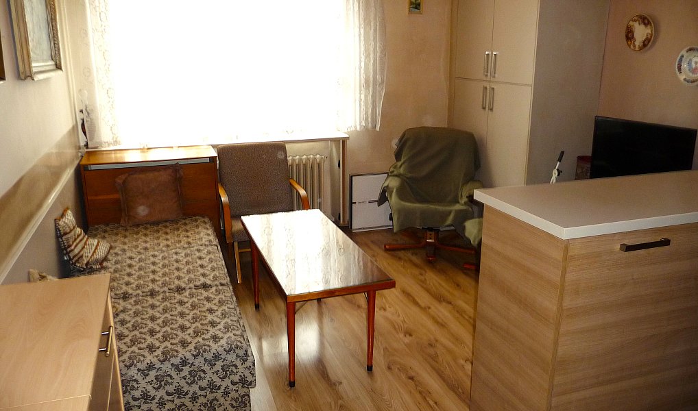 Prodej bytu 1+1 44 m², Praha – náhled fotky 15