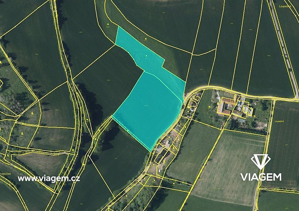 Prodej pole 4 473 m² – fotografie 3