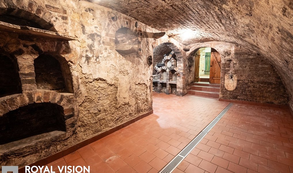Habánský sklep v Březí historie, vinařská tradice a jedinečný potenciál, Březí – náhled fotky 22