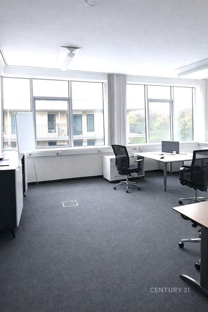 Pronájem kanceláře 175 m² – fotografie 2