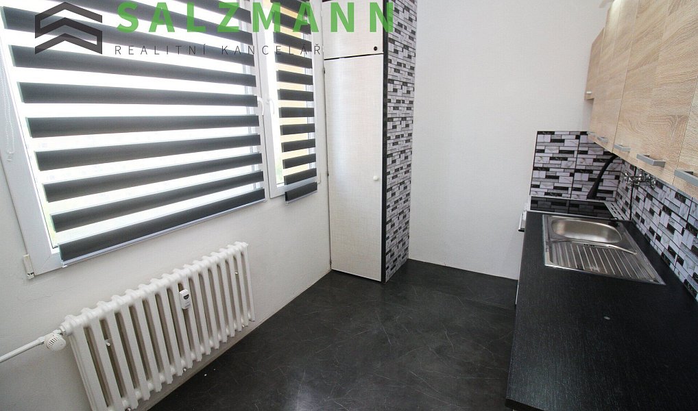 Pronájem bytu 3+1 62 m², Plzeň – náhled fotky 3