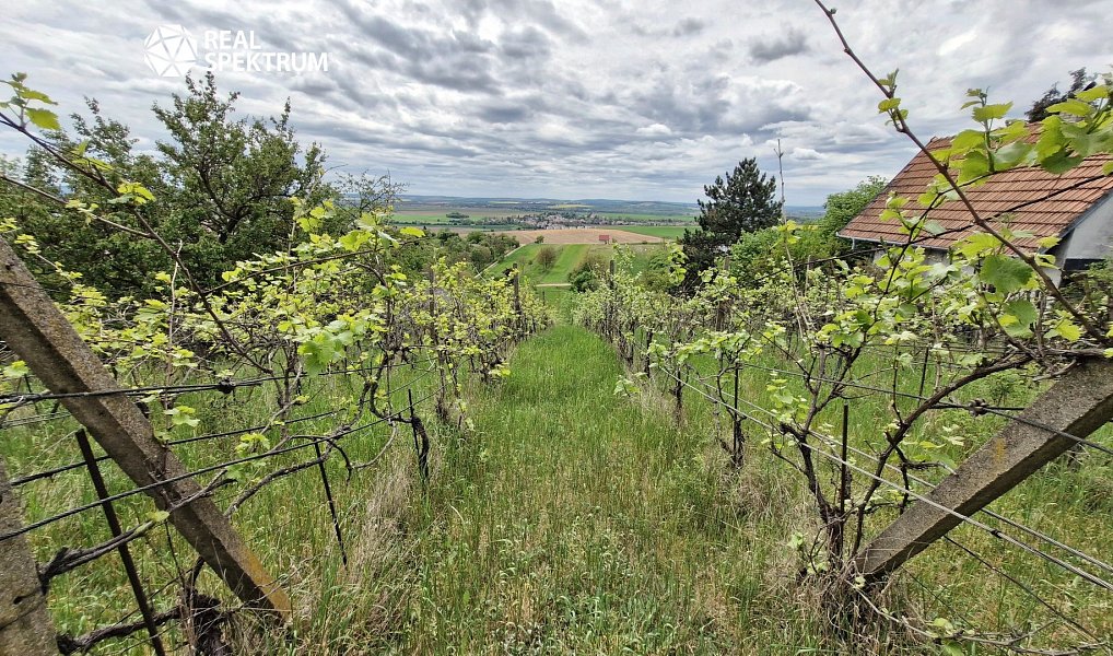 Prodej zahrady 3 069 m², Sivice – náhled fotky 5