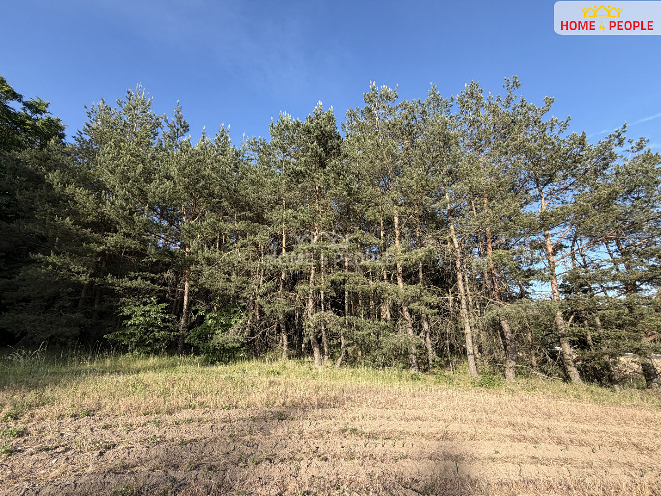 Fotka 11 z 12